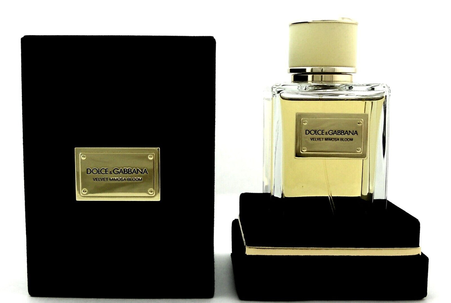 Velvet Mimosa Bloom by Dolce & Gabbana 5.0 oz Eau De Parfum Spray for Women NEW