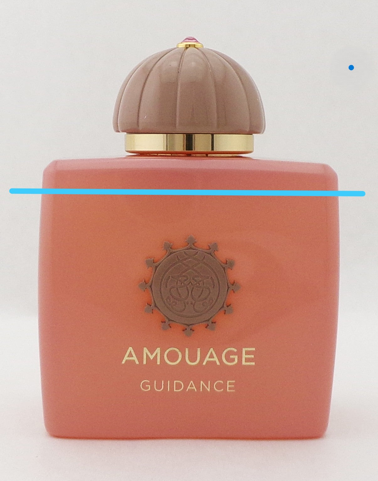 Amouage GUIDANCE Eau de Parfum Spray for Women 3.4 oz./ 100 ml. NO BOX Lower Fragrance Level
